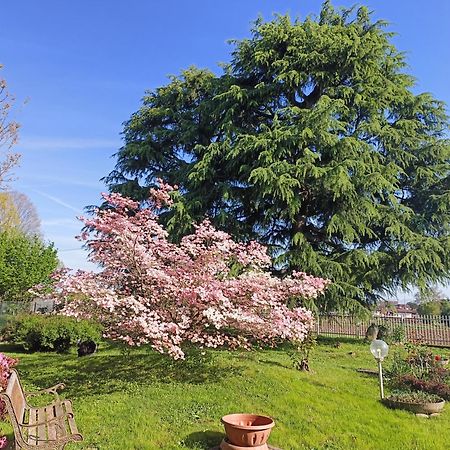 B&B Il Melograno Lomazzo Extérieur photo