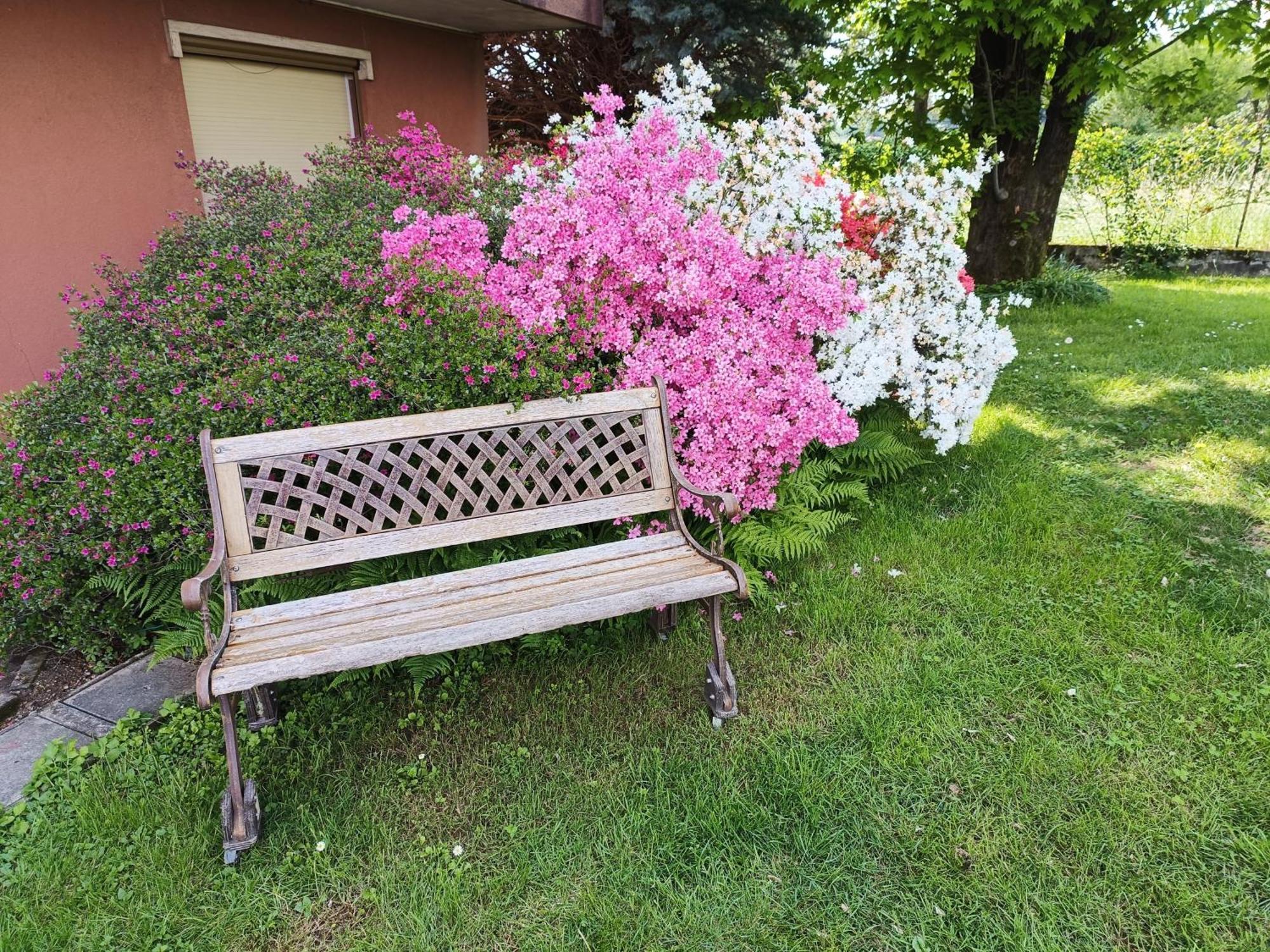 B&B Il Melograno Lomazzo Extérieur photo
