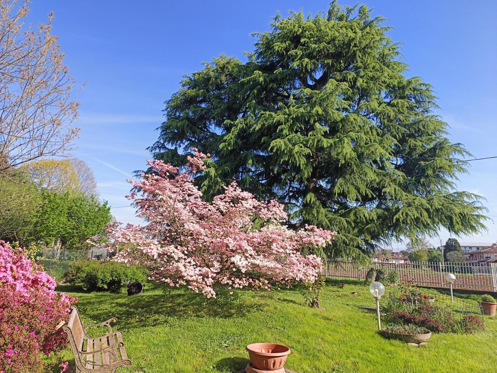 B&B Il Melograno Lomazzo Extérieur photo